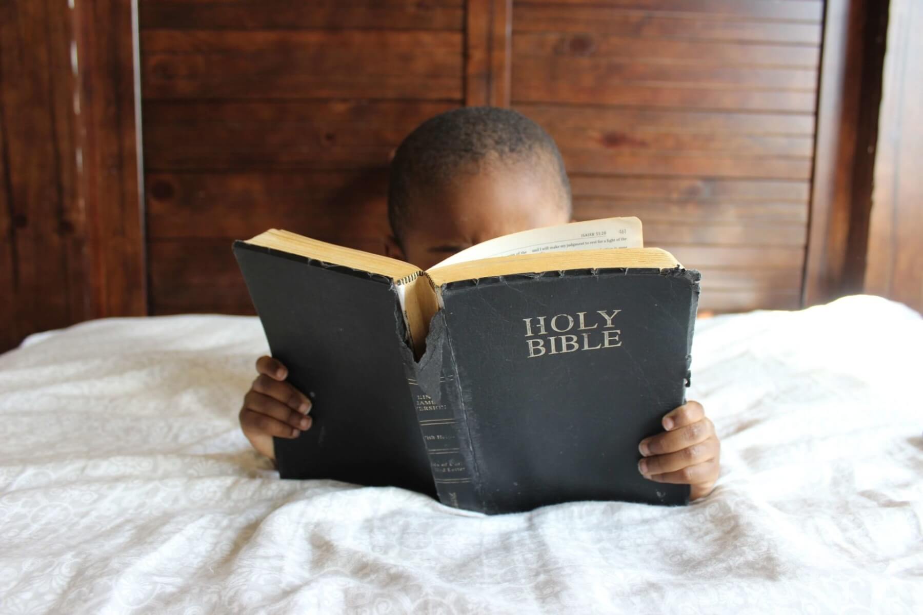 How to Read and Understand the Bible: Approach, Reading Plans, & More