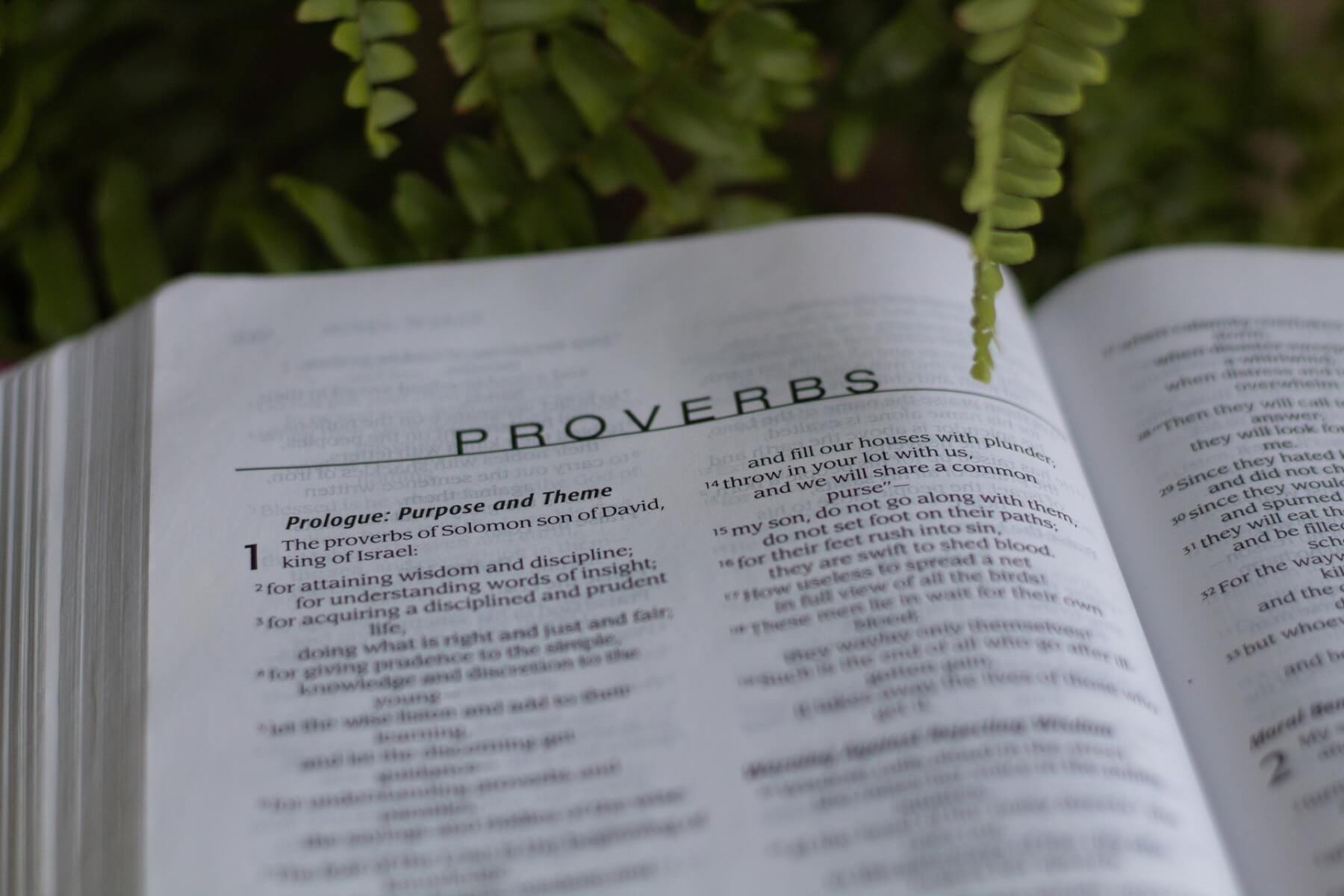 proverbs wisdom literature